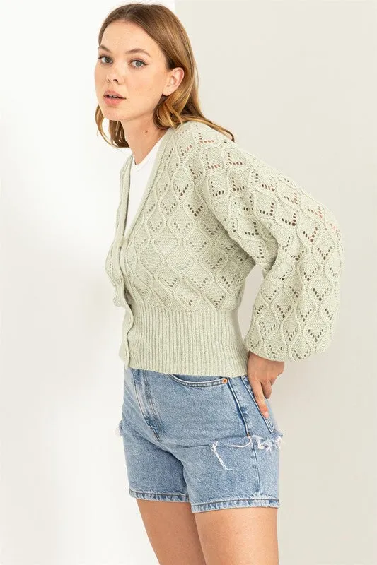 Days Together Pointelle Sweater Cardigan