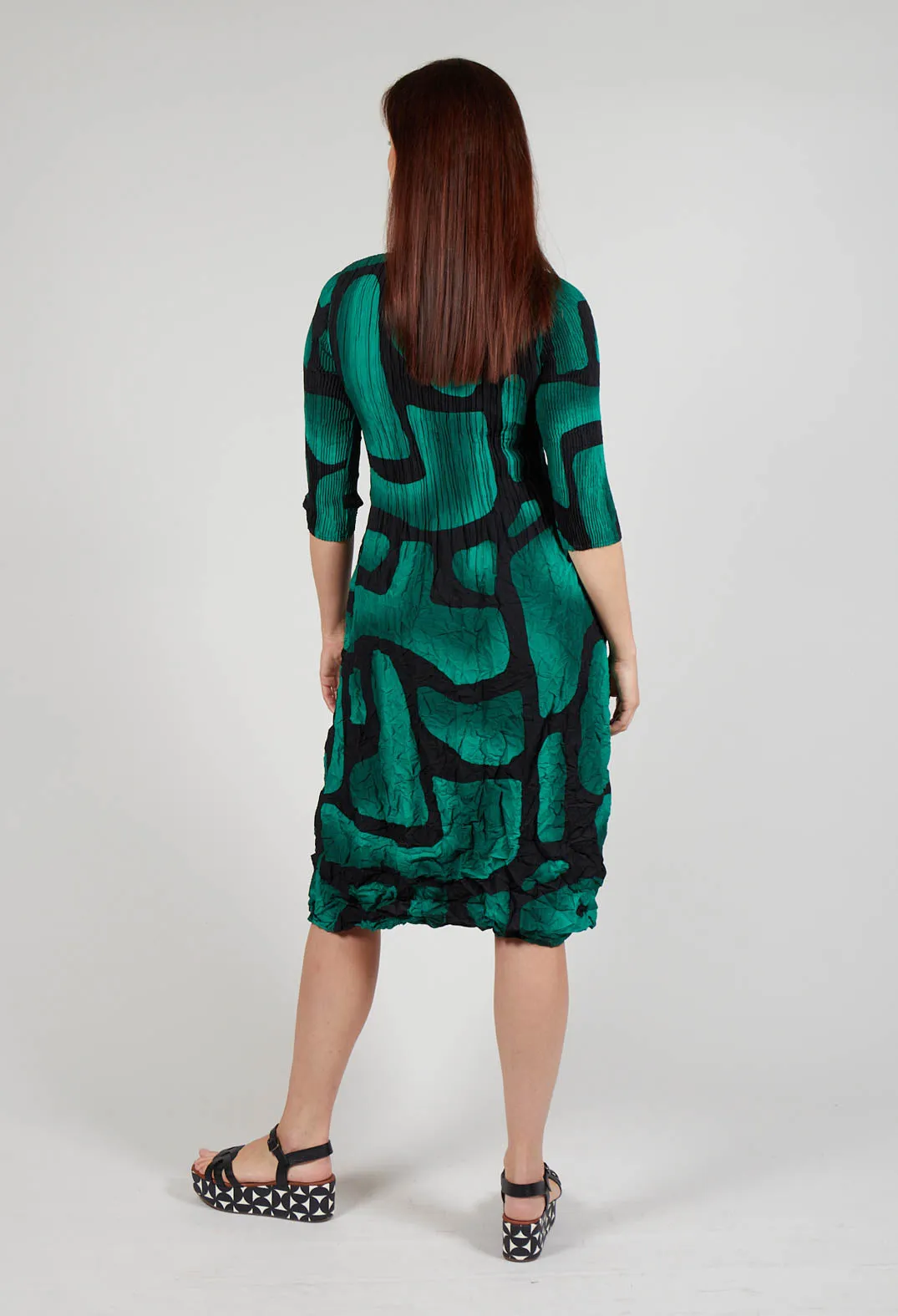 Nehry Coat Dress in Green Tuscon