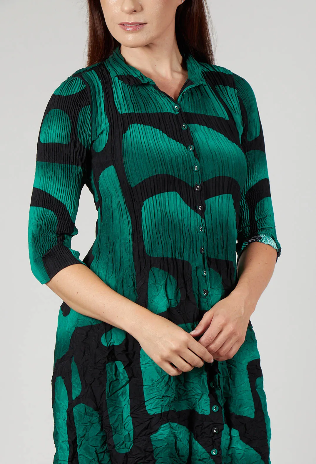 Nehry Coat Dress in Green Tuscon